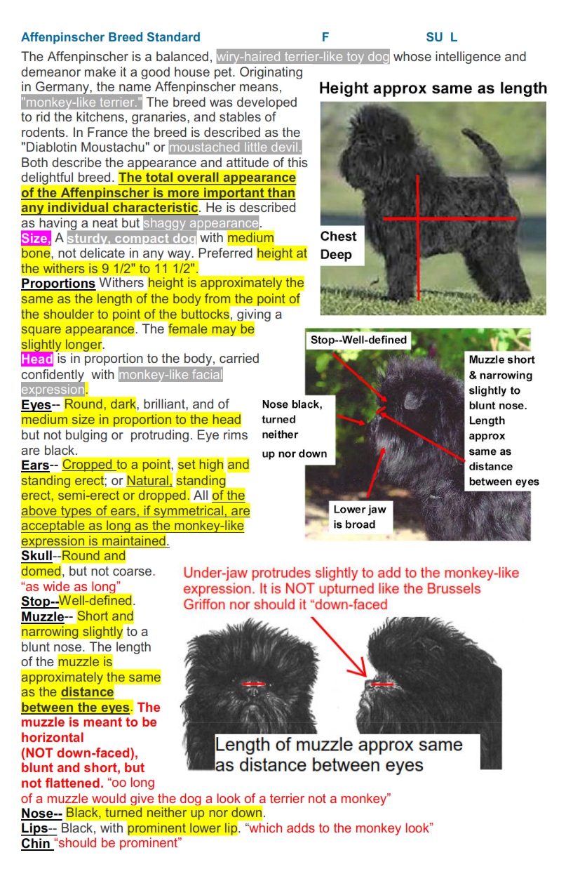 Affenpinscher AKC Breed Standard