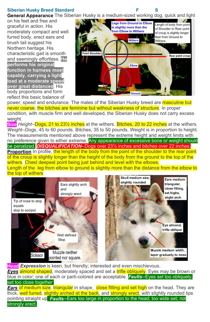 Siberian Husky AKC Breed Standard